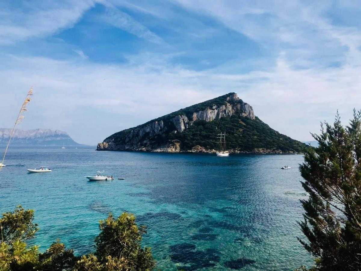 La Vecchia Posta B&B Calangianus ภายนอก รูปภาพ
